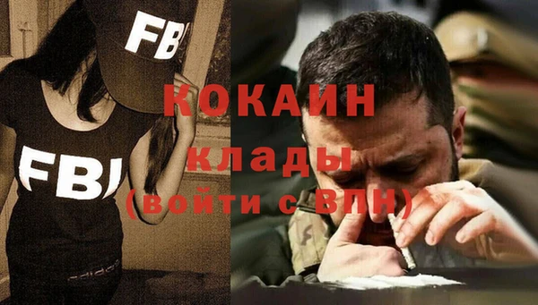 ALPHA-PVP Гусев