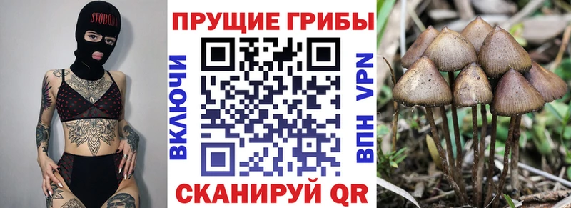 Псилоцибиновые грибы ЛСД  Купить  Окуловка 